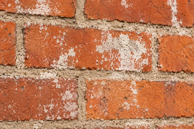 Illustration: Weißliche Rückstände bedecken stellenweise rote Klinkersteine und angrenzende Fugen.